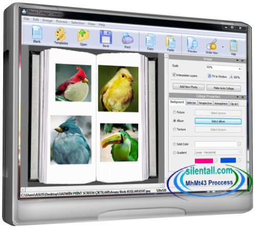 Image