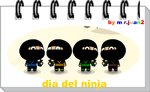 dia del ninja